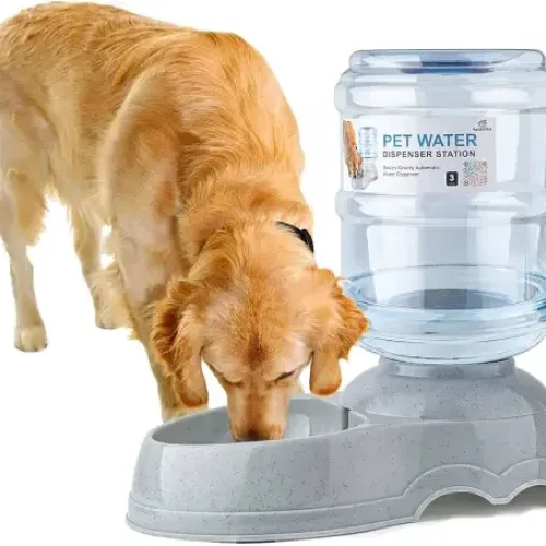 Pet feeder, pet drinker for cat and dog